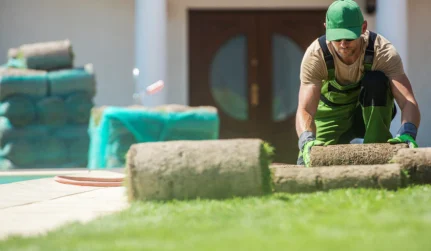Landscape Design and Installation Services