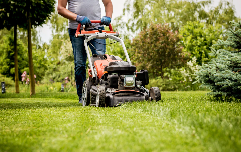 Lawn Maintenance Services (1)