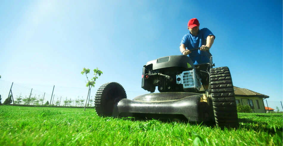 Lawn Maintenance Services
